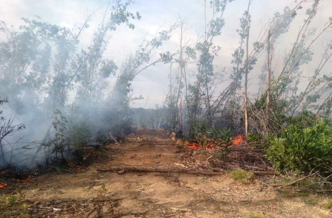 Tiên Hiệp đang tập trung lực lượng tham gia chữa cháy rừng