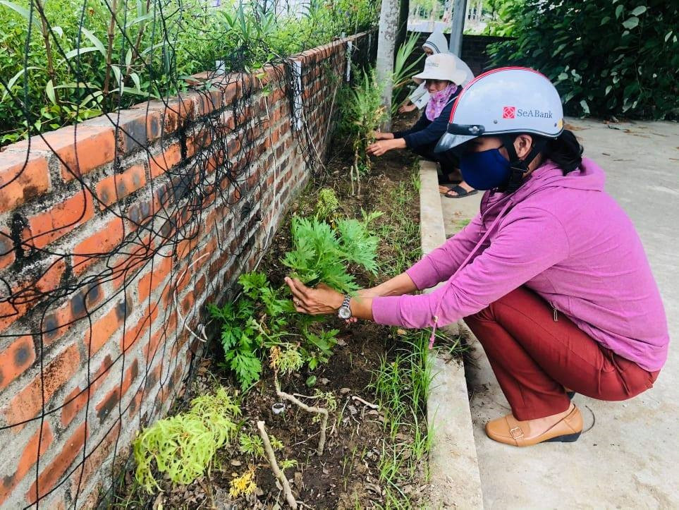 Phụ nữ khối phố Hậu Xá (phường Thanh Hà) chăm sóc vườn cây thuốc nam. Ảnh: N.Trang
