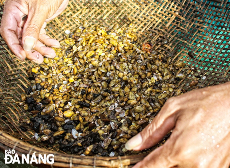 Don là loài nhuyễn thể, cùng họ với Hến nhưng có kích thước nhỏ hơn, có ruột dài và thịt thơm ngon.