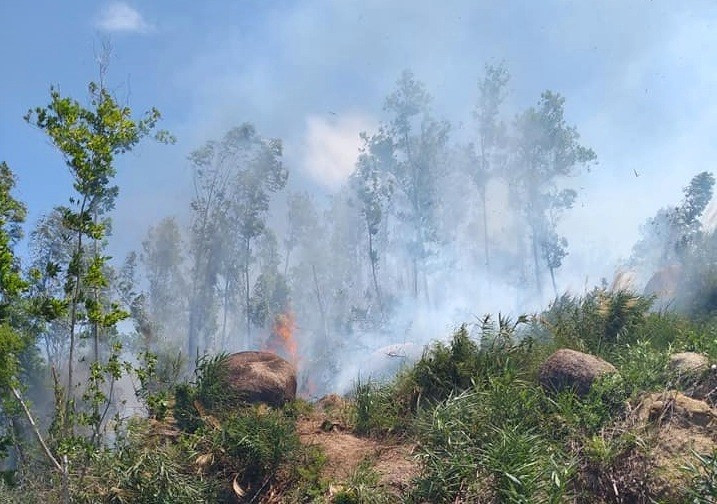 Một vụ cháy rừng keo xảy ra trên địa bàn thị trấn Đông Phú vào cuối tháng 7.2021.
