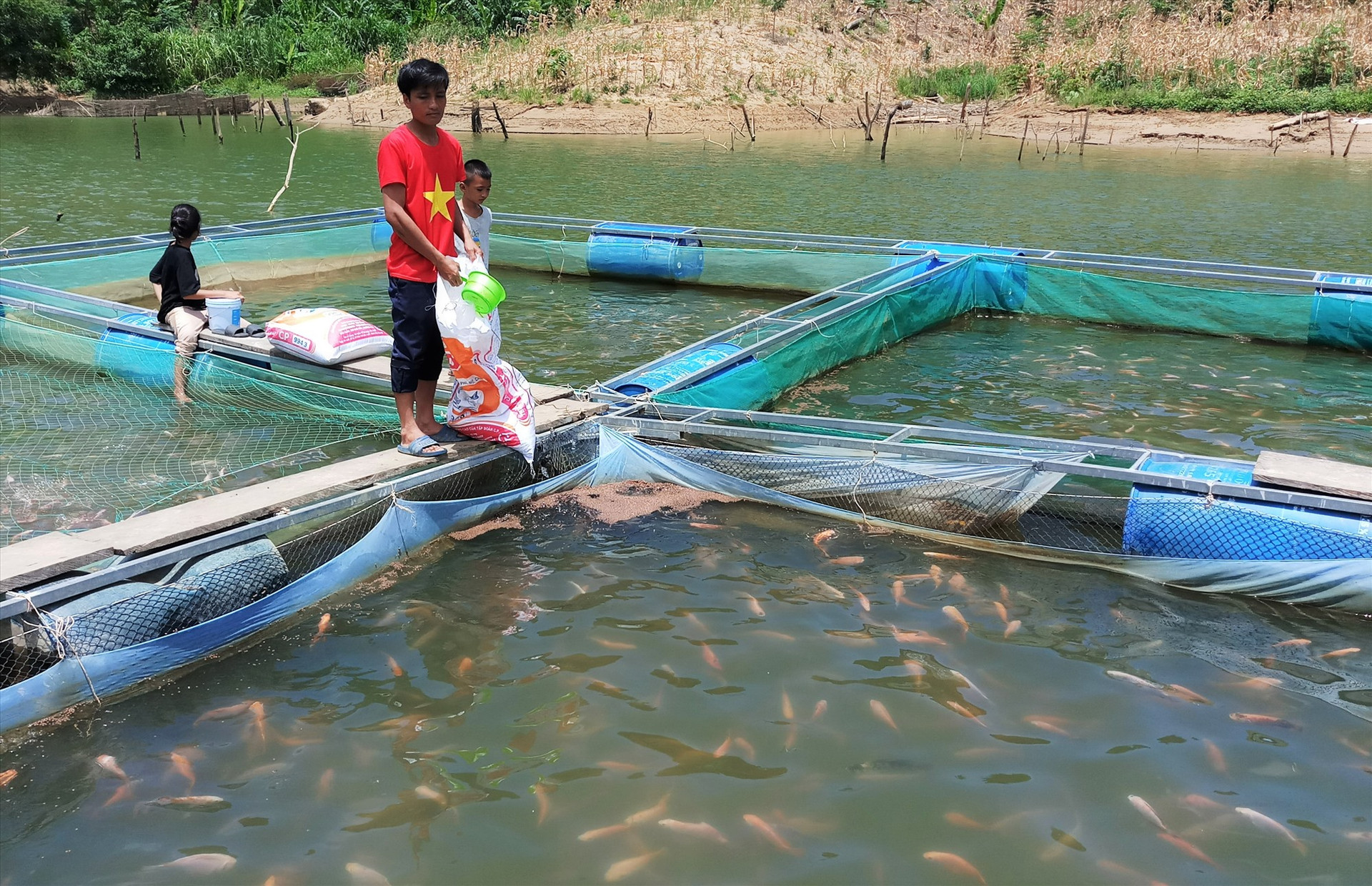 Mô hình nuôi cá lồng bè trong lòng hồ thủy điện Đắc Pring của anh Arâl Dom cho hiệu quả bước đầu. Ảnh: ĐĂNG NGUYÊN