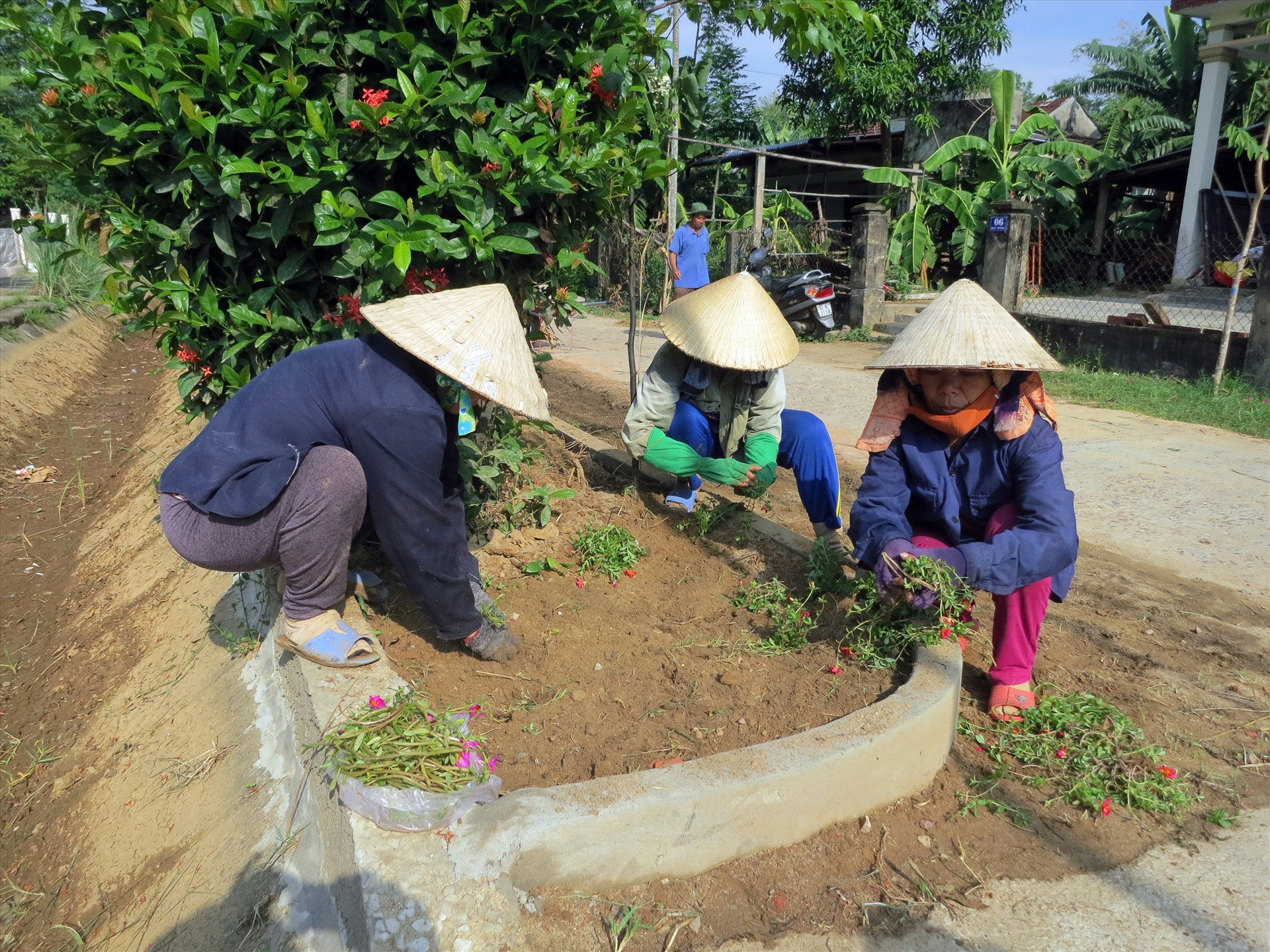 Người dân xã Điện Trung vệ sinh, trồng hoa làm đẹp đường quê. Ảnh: T.C