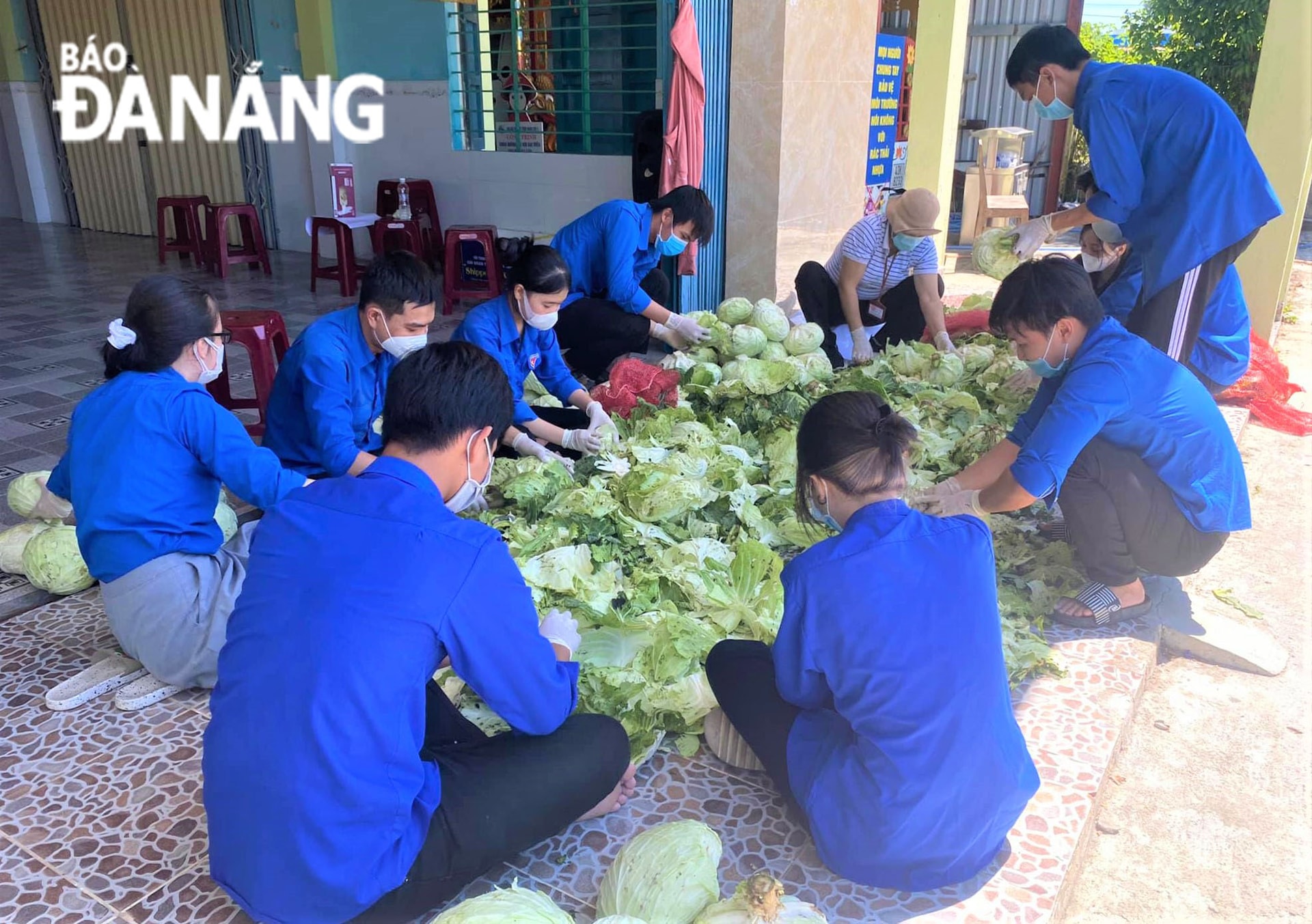 Rau, củ, quả sau khi tiếp nhận được làm sạch trước khi chuyển đến người dân. Trong ảnh: Đoàn Thanh niên xã Hoà Phước (huyện Hoà Vang) cẩn thận làm sạch những hư hỏng của rau, củ. Ảnh: L.P