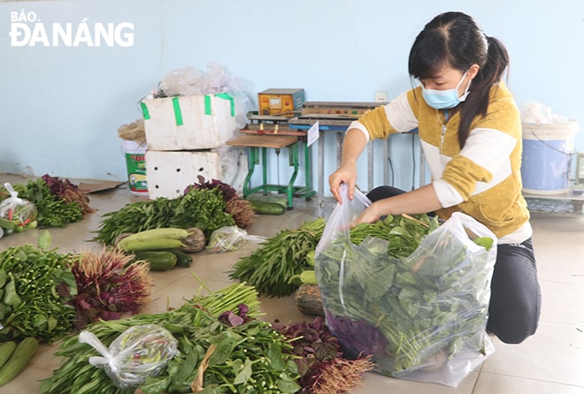 Nhân viên của Hợp tác xã rau an toàn Túy Loan đang đóng gói nông sản theo đơn hàng của người dân. Ảnh; VĂN HOÀNG
