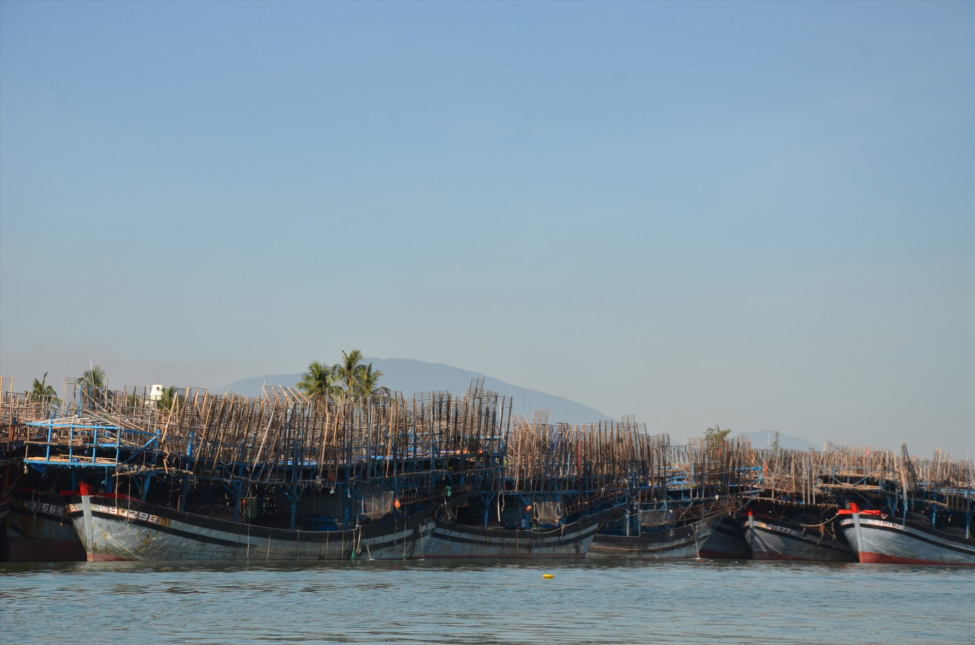 Tàu câu mực khơi ở xã Tam Giang (Núi Thành) vào neo đậu tránh bão số 5. Ảnh: H.P