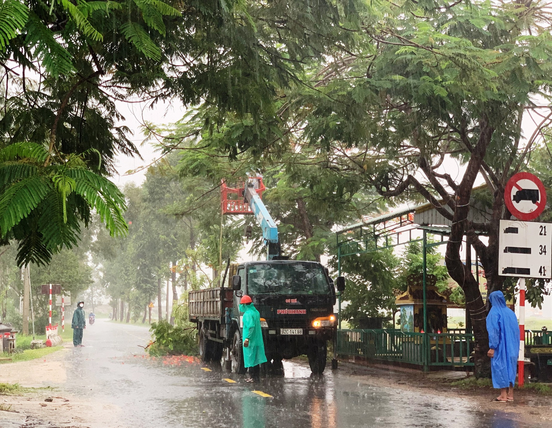 Những ngày qua, huyện Duy Xuyên ra quân cắt tỉa cây cối để hạn chế thiệt hại do mưa bão gây ra. Ảnh: N.T