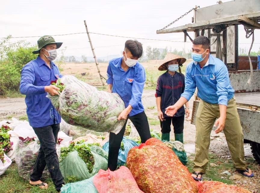 Đội xung kích ở các phường, xã của thị xã Điện Bàn giúp dân thu hoạch nông sản, cung ứng lương thực cho những hộ dân trong khu phong tỏa. Ảnh: X.H