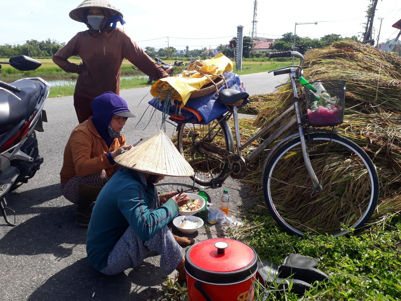Nhiều phụ nữ tranh thủ ăn vội ít thức ăn để lấy sức tiếp tục gặt lúa.