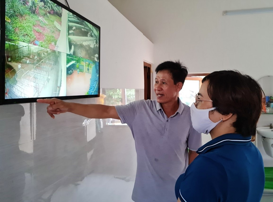 Ông Huỳnh Văn Bình đang theo dõi đàn heo qua hệ thống camera giám sát. Ảnh: L.L