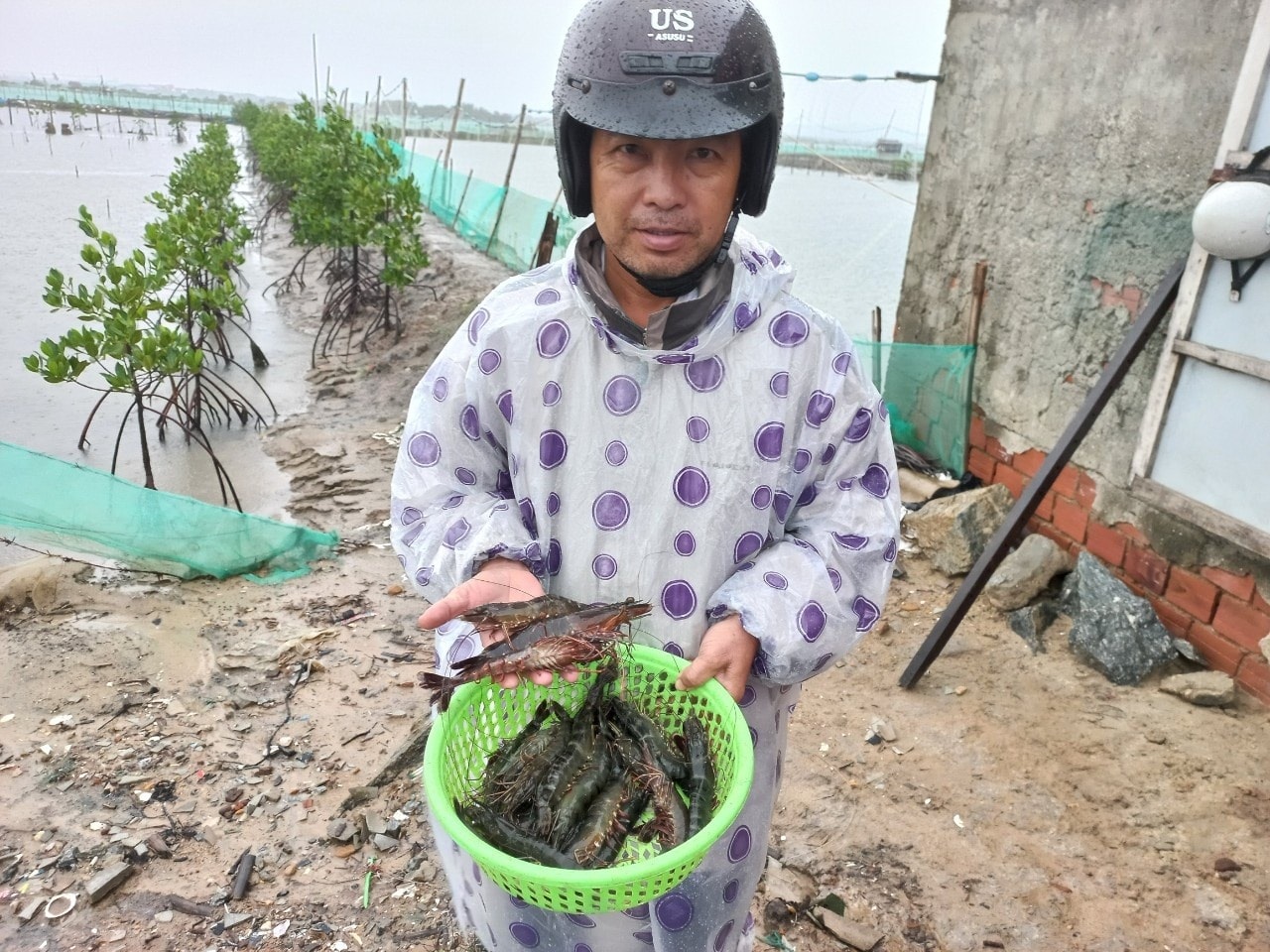 Sẽ rất thiết thực khi nhân rộng mô hình nuôi ghép cá, tôm, cua trên địa bàn tỉnh. Ảnh: NGUYỄN QUANG