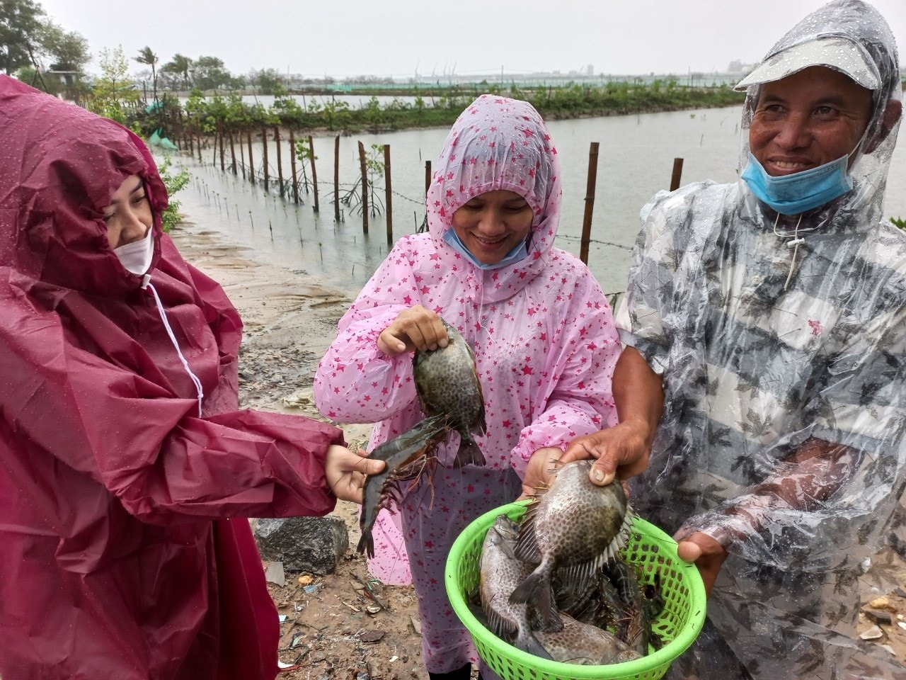 Trung tâm Kỹ thuật nông nghiệp Núi Thành đề xuất nhân rộng mô hình nuôi ghép cá, cua, tôm. Ảnh: NGUYỄN QUANG