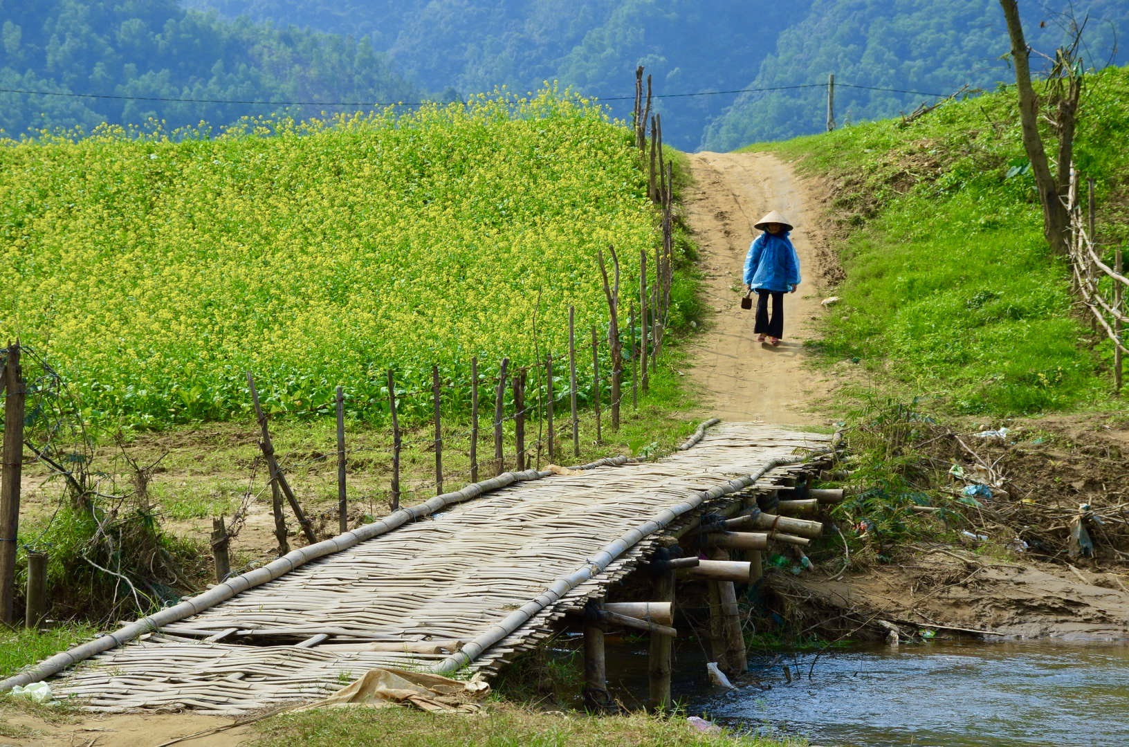 Theo UNWTO, ngành du lịch là một trụ cột trong nhiều mục tiêu phát triển bền vững. Trong ảnh: Một góc làng quê ở Đại Lộc. Ảnh: Q.T