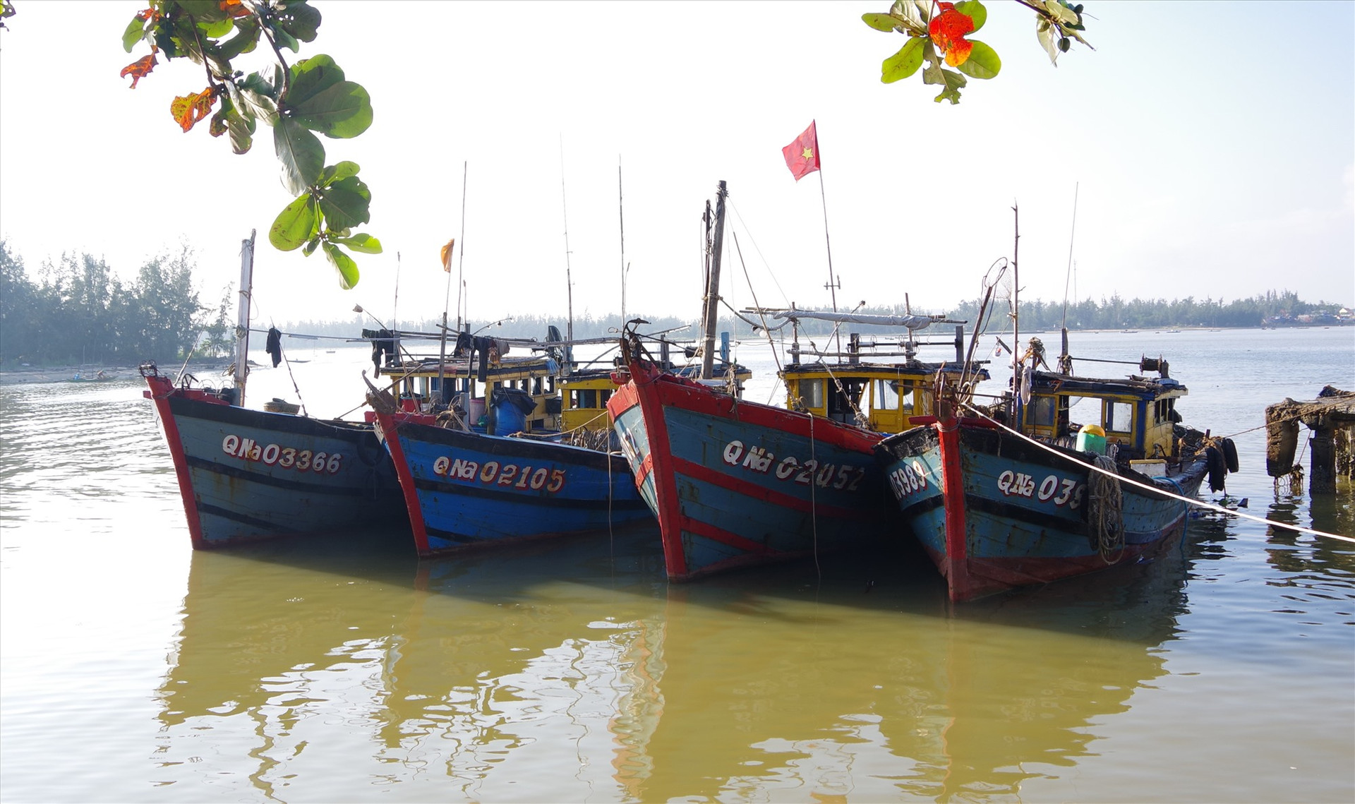 Đồn Biên phòng Cửa Đại bắt giữ 4 tàu giã cào của ngư dân phường Cẩm Nam. Ảnh: HỒNG ANH