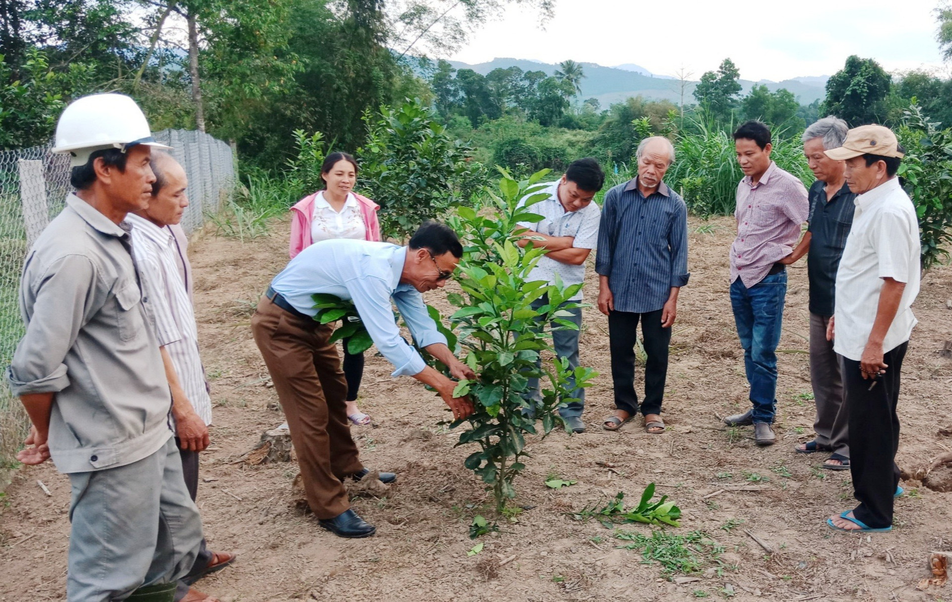 Ngành chuyên môn của huyện Nông Sơn thường xuyên hướng dẫn người dân kỹ thuật trồng, chăm sóc và phòng trừ dịch hại cho vườn cây ăn quả. Ảnh: Đ.N