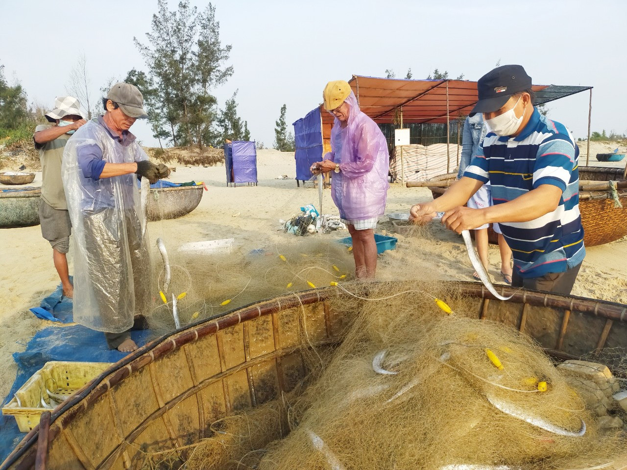 Người dân ven biển Duy Xuyên tranh thủ khai thác hải sản gần bờ trước khi mùa mưa bão đến. Ảnh: Q.T