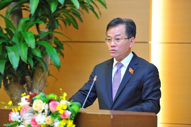 Vice Chairman of the National Assembly Committee for External Relations Don Tuan Phong (Photo: VNA)