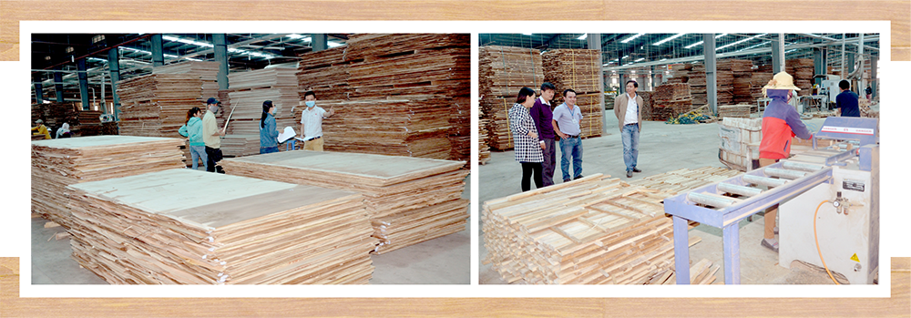 Nhà máy chế biến gỗ ván MDF của Công ty CP Gỗ công nghiệp Quảng Nam tại xã Quế Thọ (Hiệp Đức).