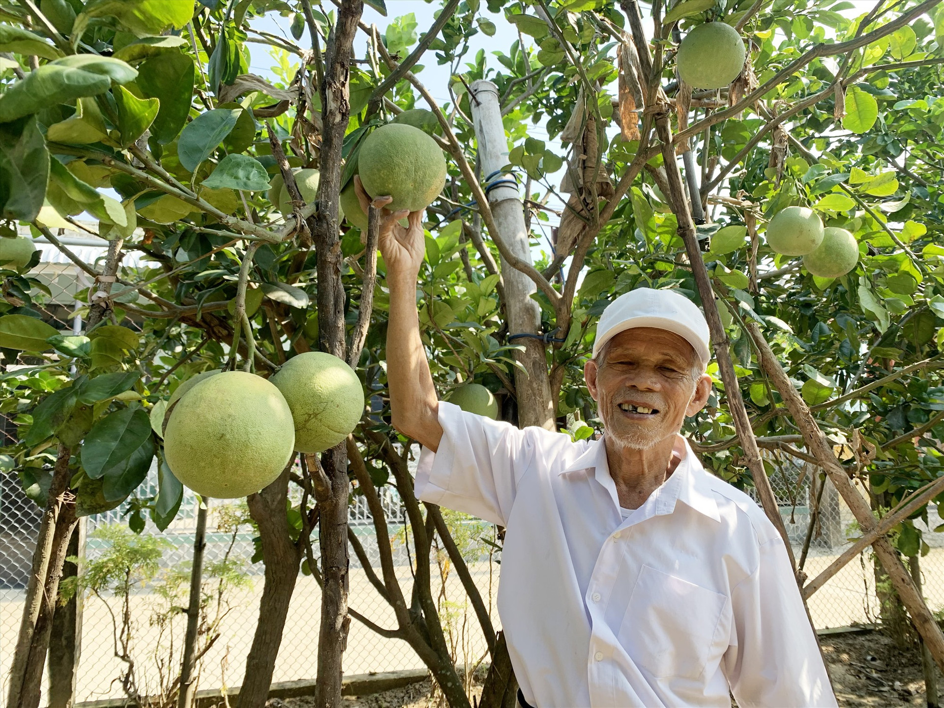 Khu vườn mẫu của gia đình ông Nguyễn Dương (thôn Lệ Bắc, xã Duy Châu) mang lại hiệu quả kinh tế cao. Ảnh: T.L