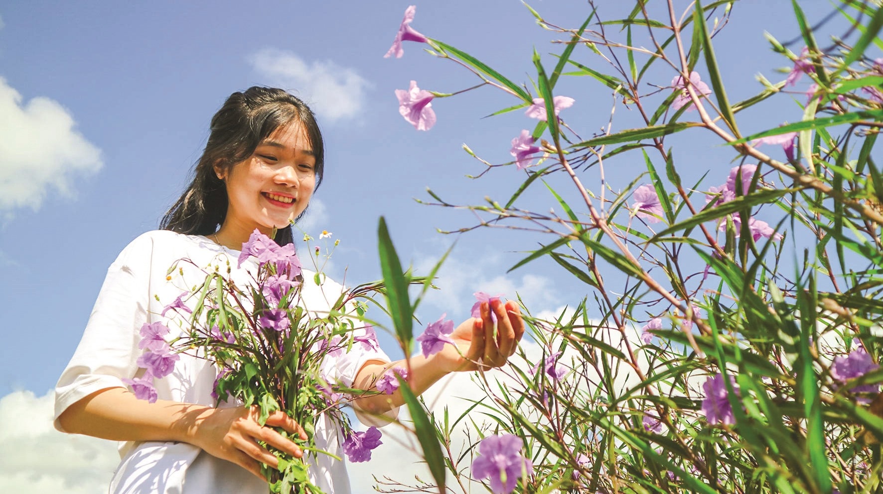 Chiều tím - loài hoa có sức sống mãnh liệt, phù hợp với điều kiện tự nhiên ở Tam Lộc. Từ khi được hình thành, tuyến đường hoa trở thành điểm check-in lý tưởng của nhiều bạn trẻ.