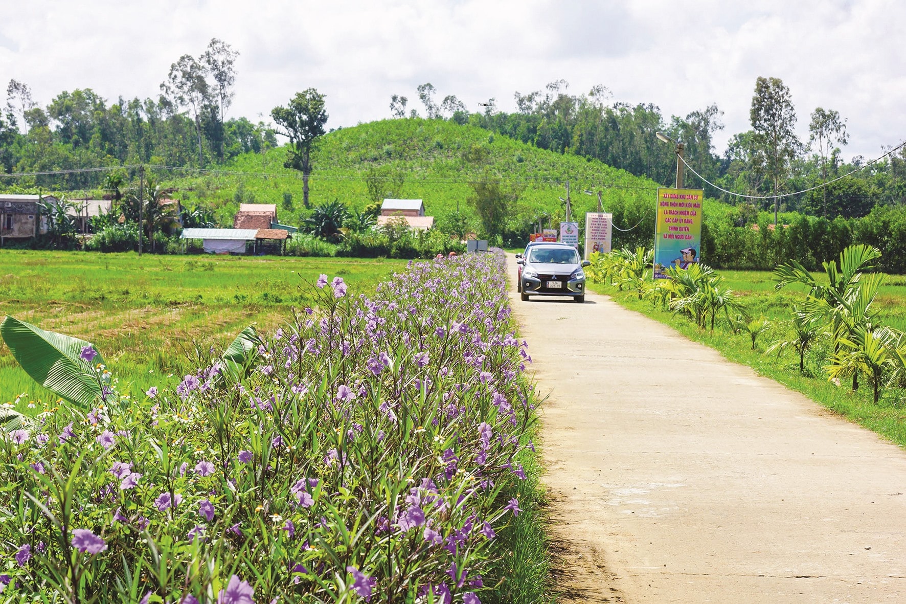 Người dân Tây Lộc cho biết, thời điểm dịch Covid-19 lần thứ 4 chưa bùng phát, nơi đây thỉnh thoảng đón du khách ghé thăm.