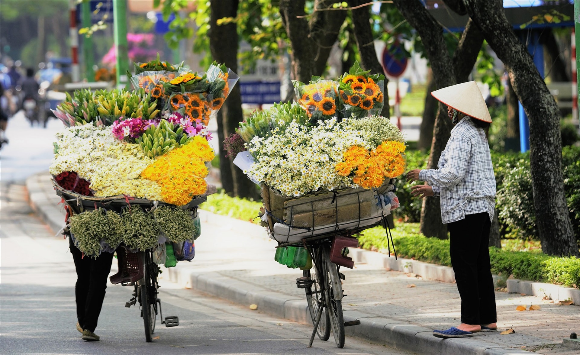 Nón lá cùng Mẹ xuống phố!