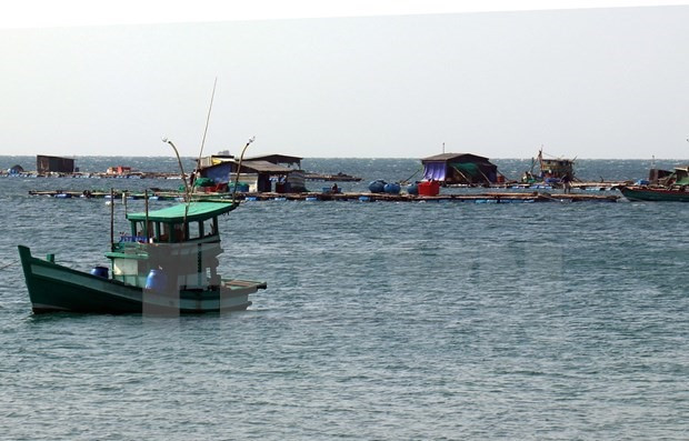 Fish cage farming in An Thoi sea offshore Phu Quoc island (Illustrative photo: VNA)