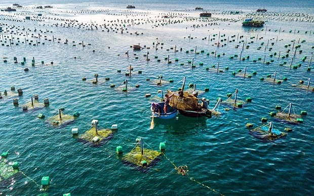 Fish cage farming at sea. Illustrative image (Photo: VNA)