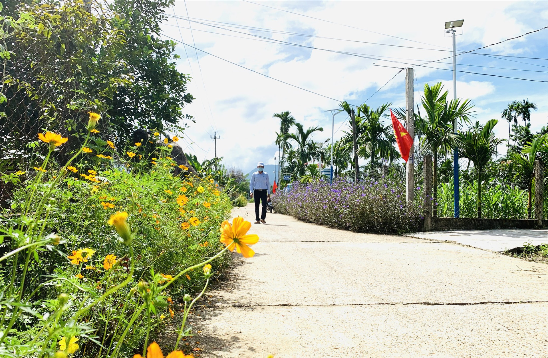 Hệ thống đường ngõ xóm, kiệt ở thôn Thu Bồn Tây rộng thoáng và bố trí trồng hoa thay cỏ dại. Ảnh: T.L