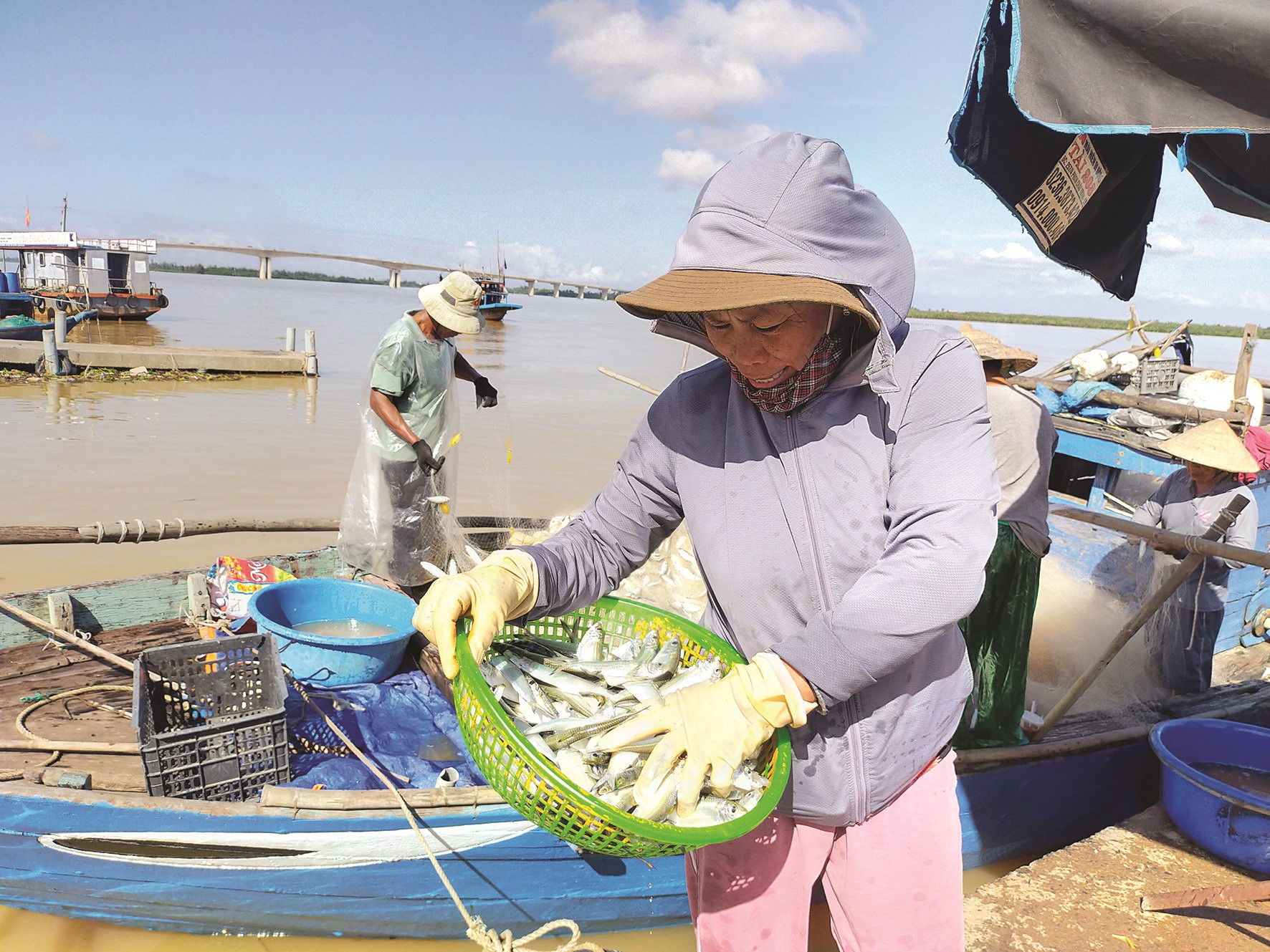 Sau mỗi chuyến biển vùng bãi ngang, phụ nữ hỗ trợ cánh đàn ông gỡ cá, phân loại và mang đi bán dạo hoặc đến chợ bán.