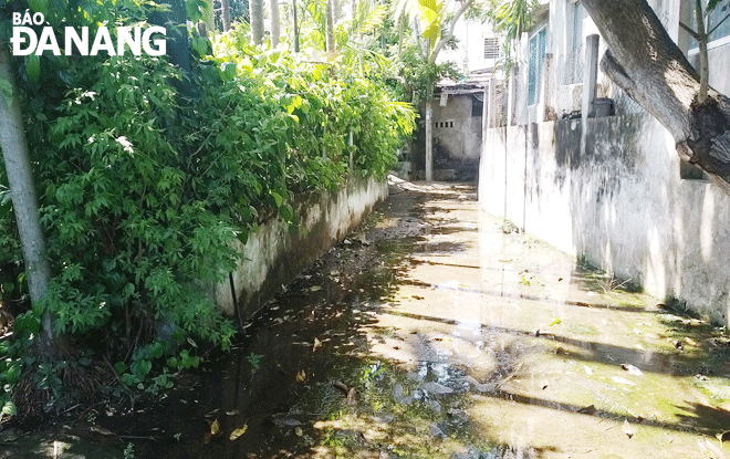Dù trời nắng và mưa đã dứt 2 ngày nhưng nước vẫn còn đọng trên mặt kiệt của khu vực tổ 5 thôn Cồn Mong, xã Hòa Phước. (Ảnh chụp trưa 21-10)Ảnh: ĐẮC MẠNH
