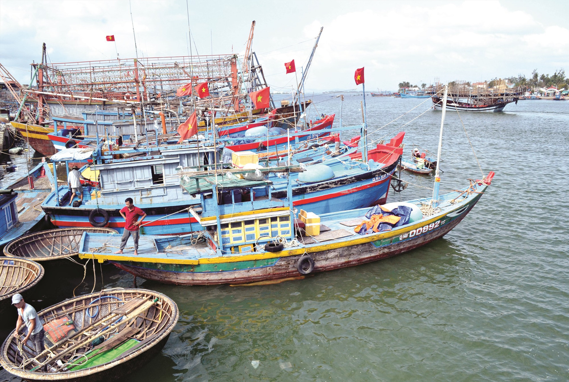 Quảng Nam cần giảm tàu thuyền nhỏ, giảm cường lực khai thác hải sản ven bờ để bảo vệ nguồn lợi. Ảnh: VIỆT NGUYỄN