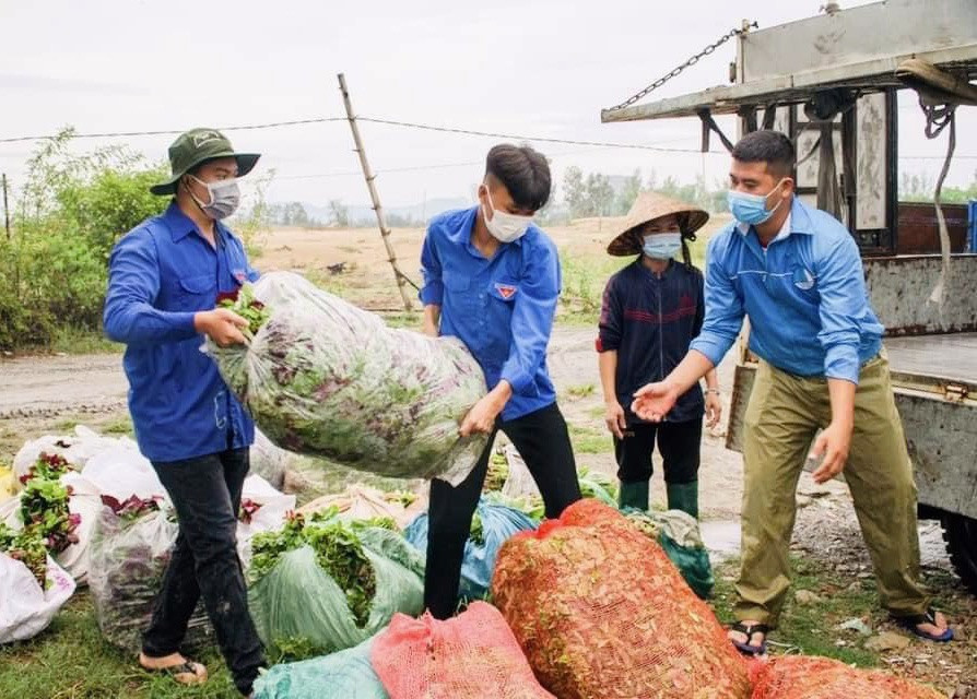 Đội hình “Giải cứu rau xanh” của Chi hội Viêm Minh. Ảnh: THANH VY