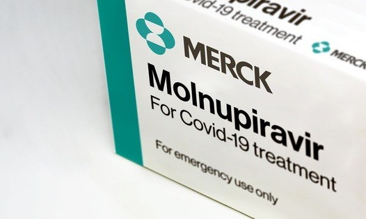 Molnupiravir là thuốc kháng virus, dùng cho các trường hợp mắc Covid-19 thể nhẹ