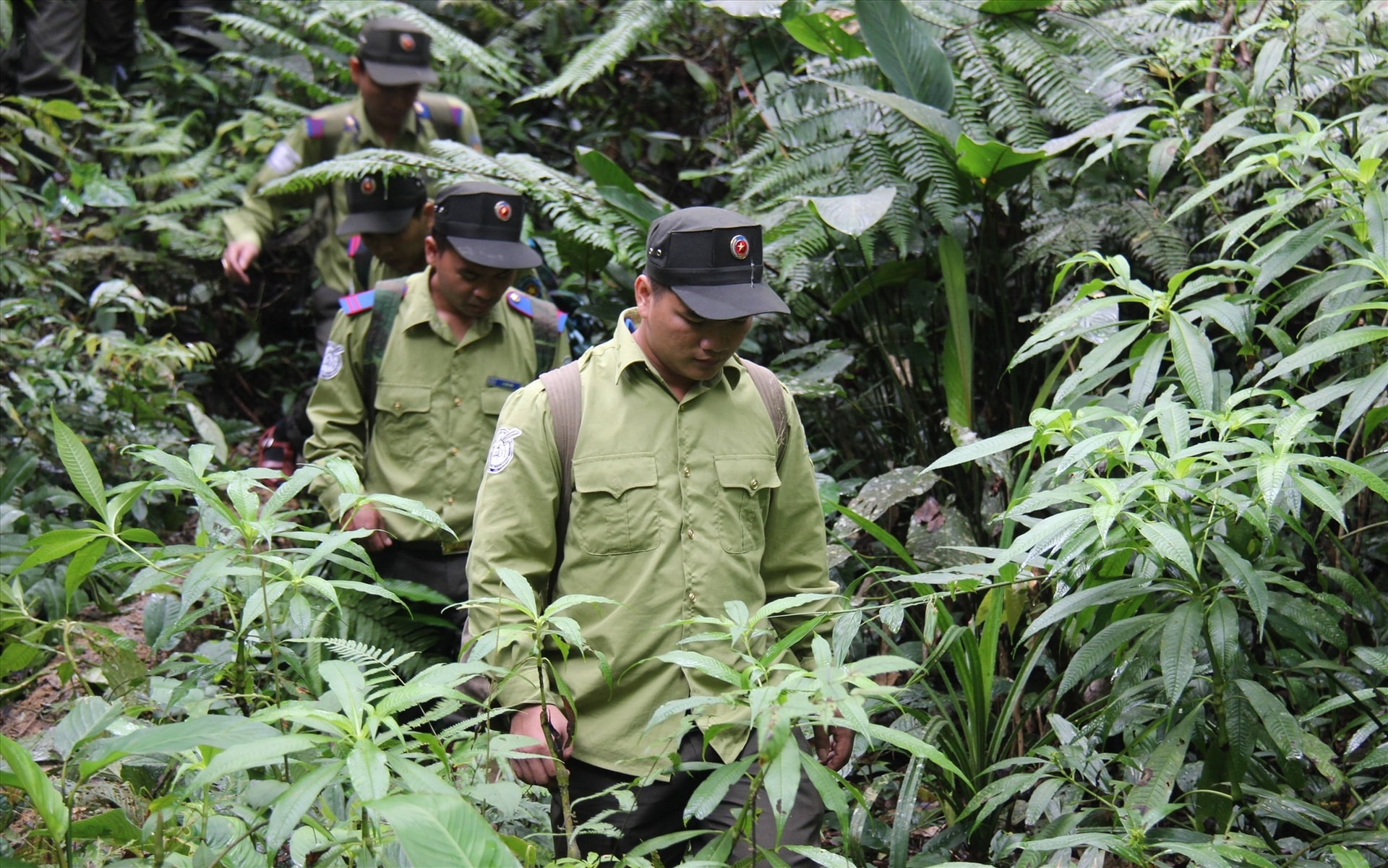 Forest rangers in Quang Nam