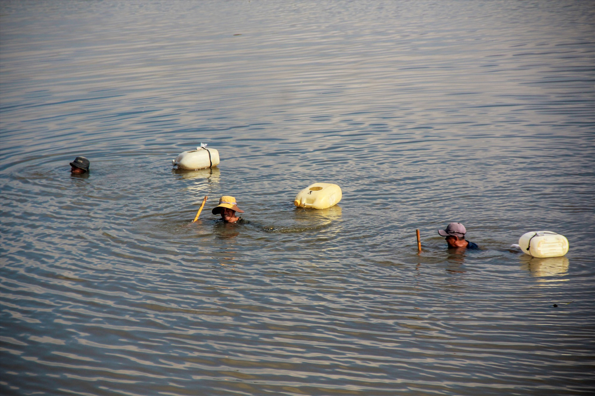 Những người cào lươn mang theo một chiếc can nhựa để đựng lươn và dàn hàng ngang để cào. Ảnh: T.L