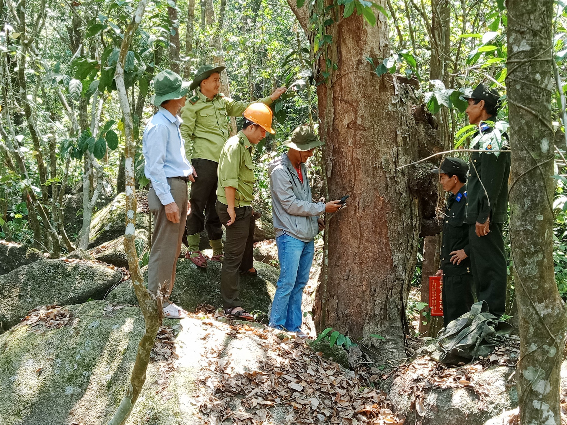 Lực lượng chức năng tuần tra kiểm soát rừng tự nhiên tại xã Hiệp Thuận. Ảnh: V.M