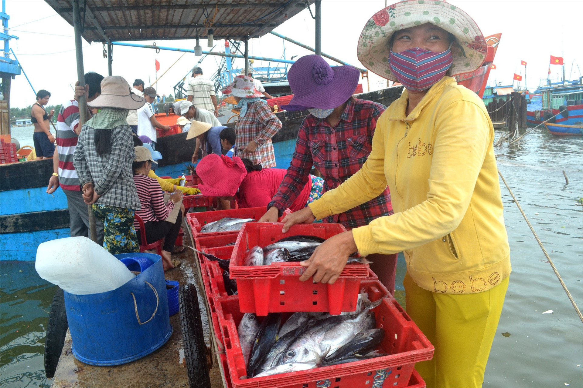 Hội Nghề cá Quảng Nam quan tâm đến quá trình khai thác hải sản, đời sống của ngư dân trên địa bàn tỉnh. Ảnh: Q.VIỆT