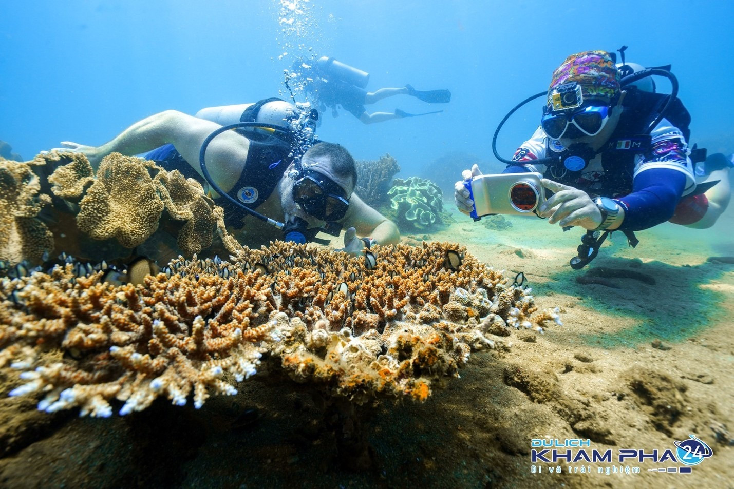 Dịch vụ lặn ngắm san hô cũng rất được yêu thích ở đảo Cù Lao Chàm
