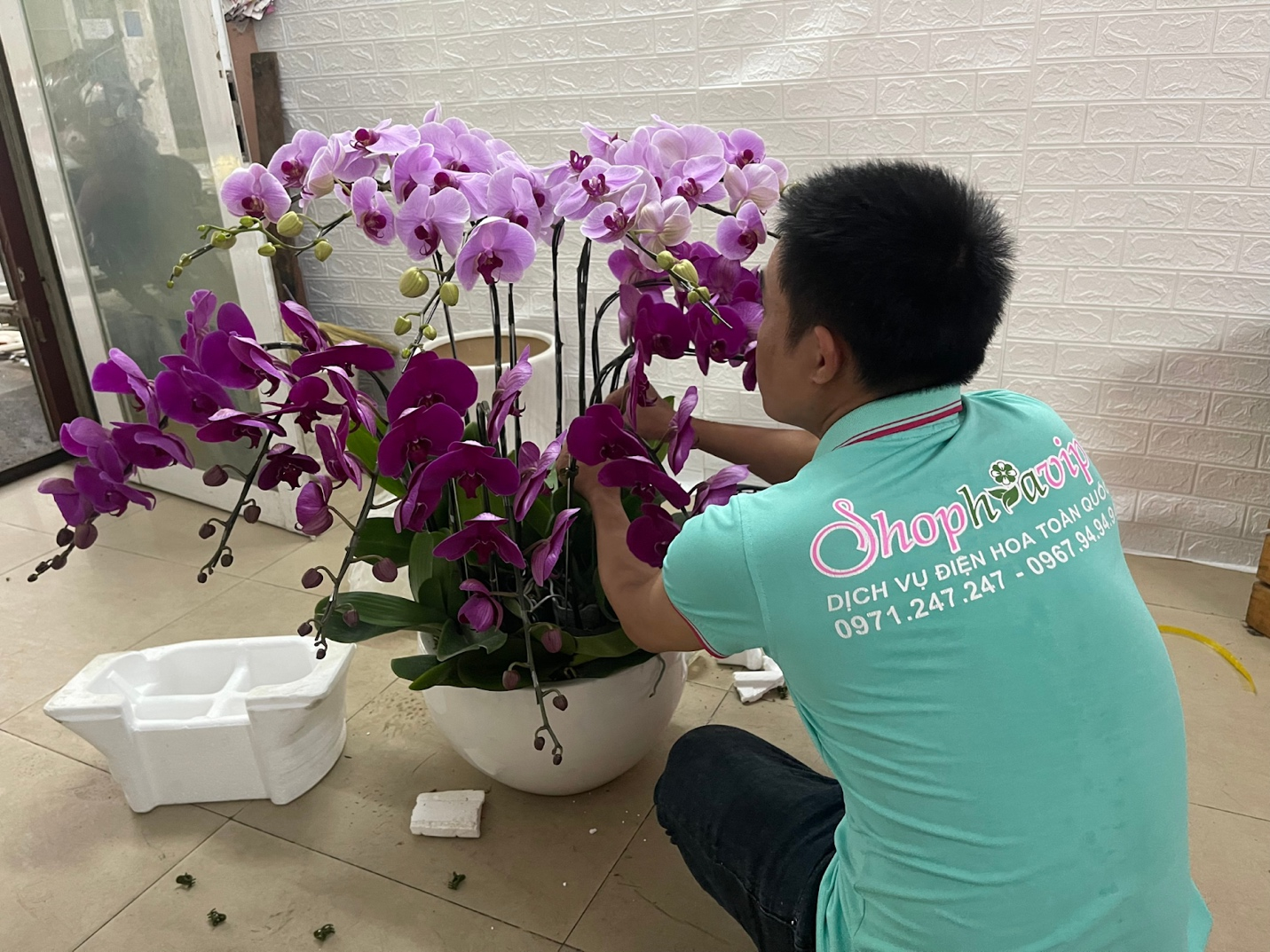 Shop Hoa Vip - Dịch vụ điện hoa cung cấp Lan Hồ Điệp uy tín, chất lượng