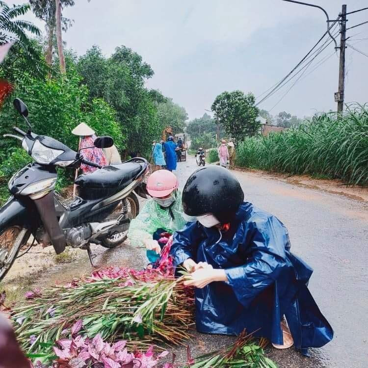 Người dân xã Quế Phong hưởng ứng trồng cây ở dọc các tuyến đường giao thông trên địa bàn xã.