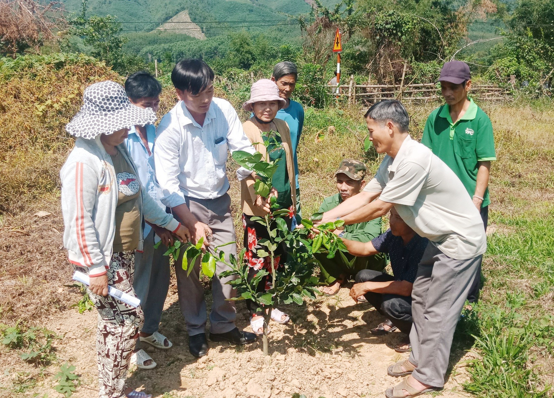 Cán bộ kỹ thuật nông nghiệp huyện Nông Sơn hướng dẫn người dân cách trồng, chăm sóc cây ăn quả. Ảnh: S.A