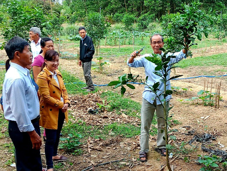 Tham quan mô hình trồng các loại cây ăn quả theo phương thức sản xuất hàng hóa tập trung của hộ ông Phùng Văn Lạc ở thôn Tân Phong (Quế Lộc, Nông Sơn). Ảnh: S.A