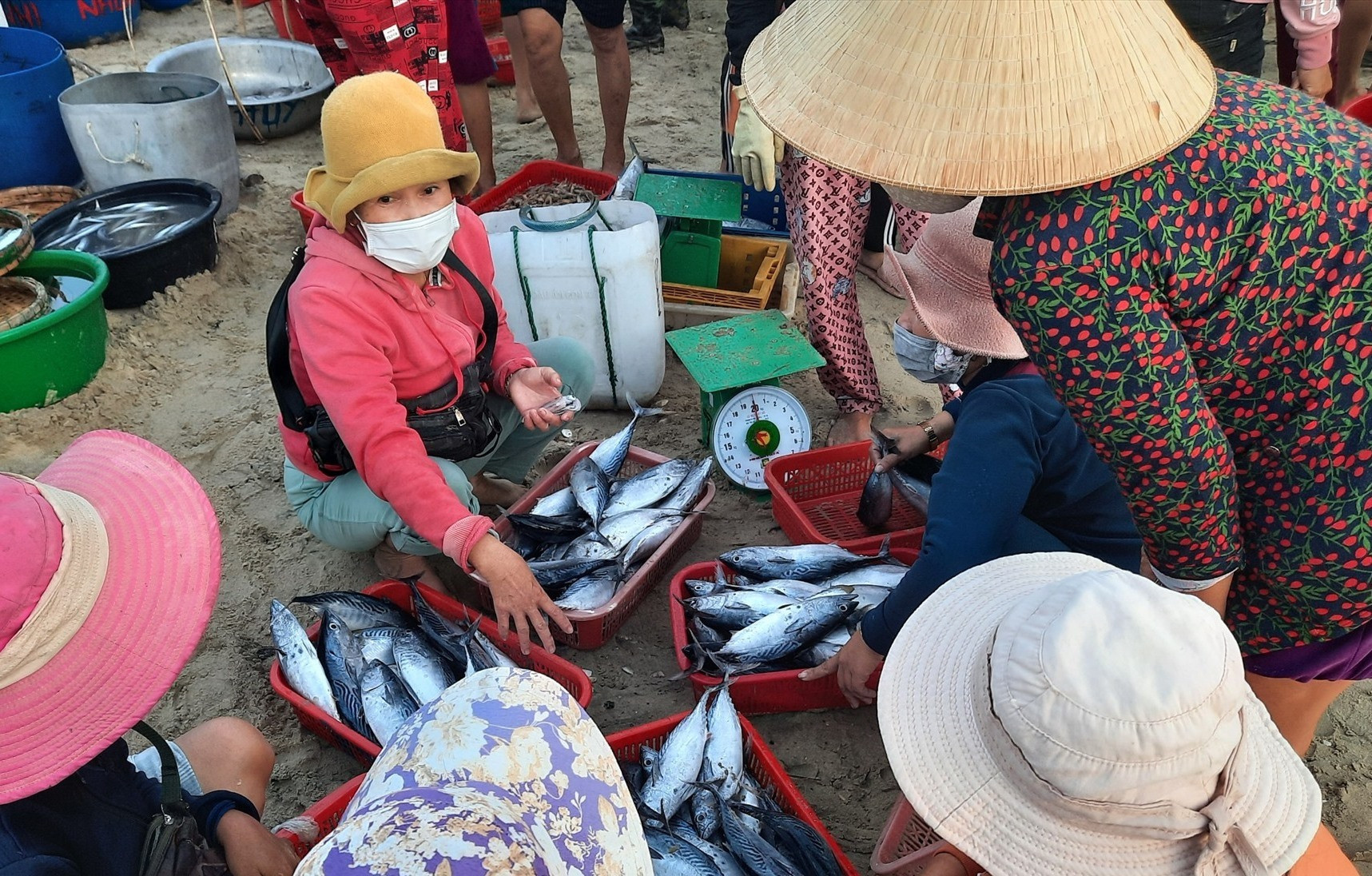 chợ cá thôn Hà Lộc chỉ được phép hoạt động không quá 50% công suất