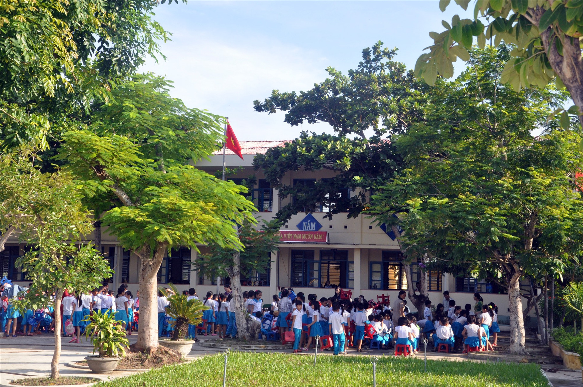 Quang cảnh xanh, sạch, đẹp của Trường Tiểu học Võ Thị Sáu (Phú Ninh). Ảnh: X.P