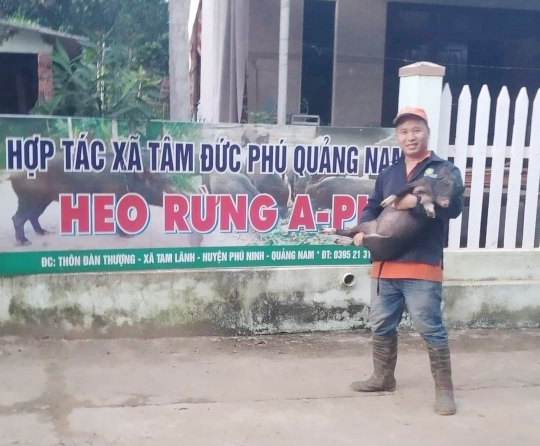 Anh Phan Như Cơ bên trang trại của HTX Tâm Đức Phú. Ảnh: T.N