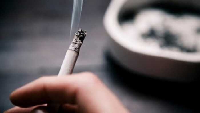 Chất gây nghiện nicotine có trong cả cây thuốc lá tự nhiên lẫn khói thuốc lá.