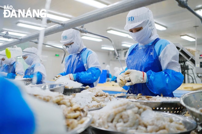 Công nhân chế biến tôm xuất khẩu tại một doanh nghiệp bên trong Khu Công nghiệp Thủy sản Thọ Quang, quận Sơn Trà, TP. Đà Nẵng.Ảnh: TRẦN THẮNG