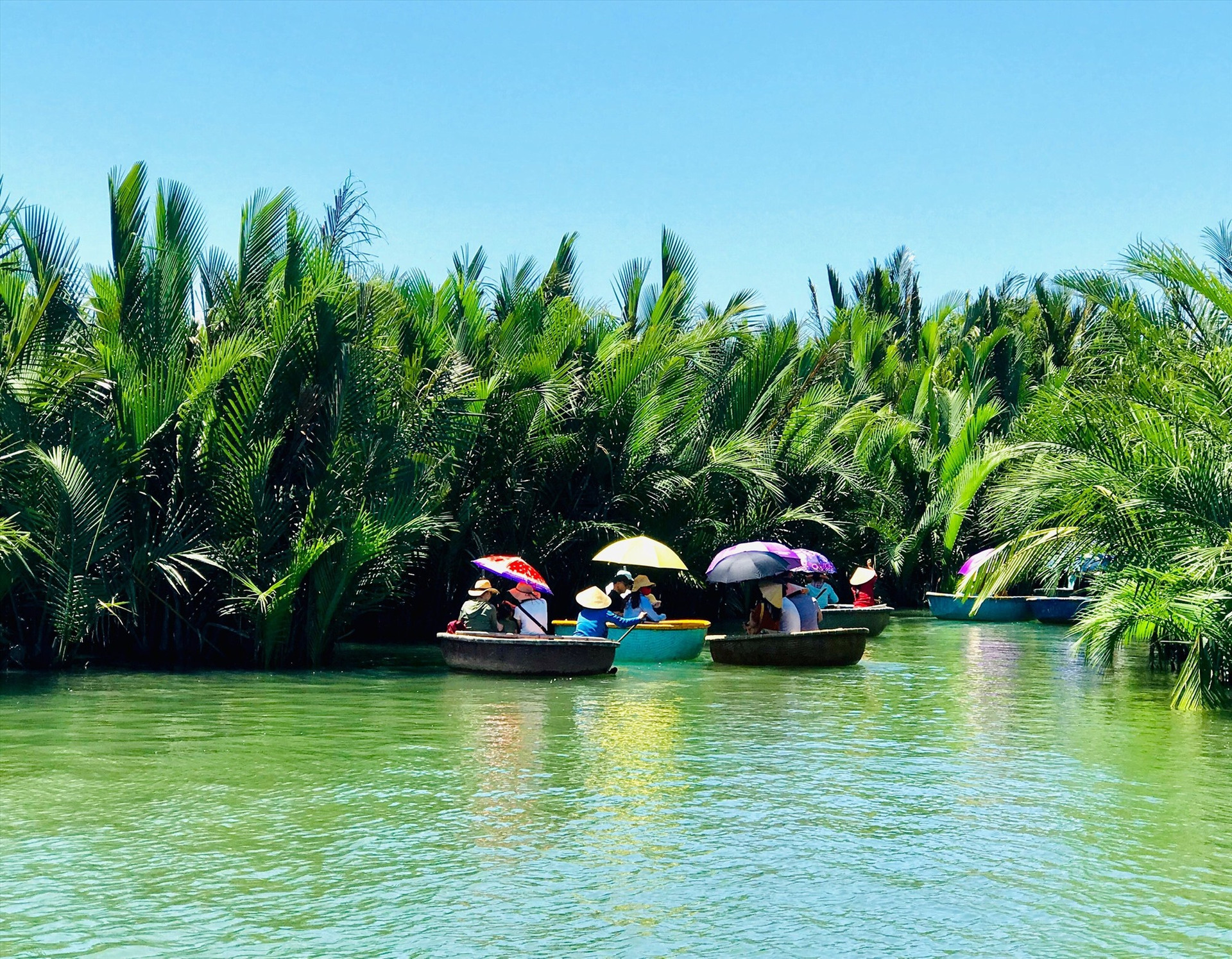 Du lịch sinh thái, cộng đồng ở rừng dừa nước Cẩm Thanh. Ảnh: Q.T