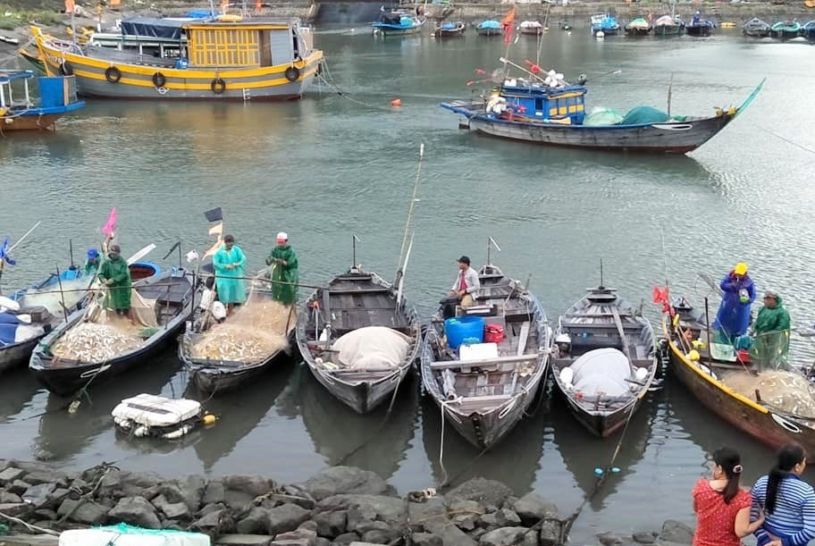 Sau những chuyến ra khơi, thuyền của ngư dân Cù Lao Chàm chứa đầy cá các loại. Ảnh: Nguyễn Quỳnh