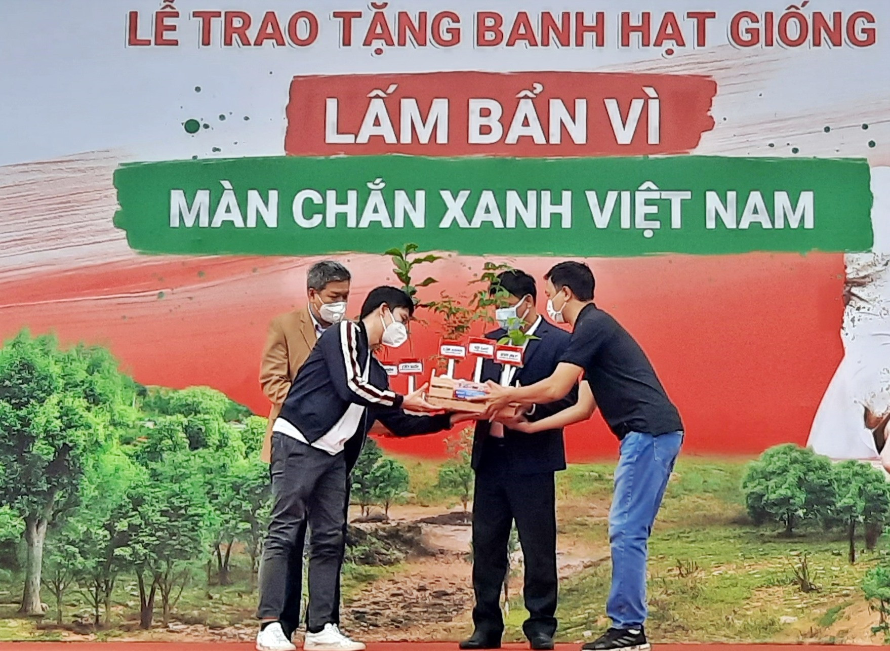 40 ngàn banh hạt giống được nhãn hàng OMO trao tặng để khôi phục rừng tại Quảng Nam và Quảng Bình. Ảnh: H.Đ